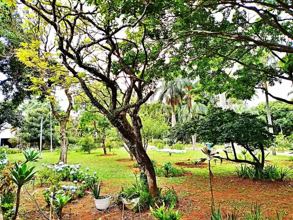 Spor, Rekreasyon ve İşçi Eğitim Merkezi (CERET) Mayıs 2008 'de Belediye Spor, Tatil ve Rekreasyon Sekreterliği komutası altında geldi..