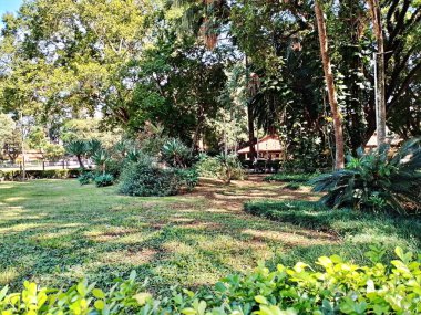 So Paulo 'nun Batı Bölgesi' nde yer alan Agua Branca State Park, şehrin en geleneksel ve büyüleyici yeşil alanlarından biridir. 137.000 metrekare ormanlık alanla park, boş zaman, kültür ve çevrenin mükemmel bir kombinasyonunu sunuyor.