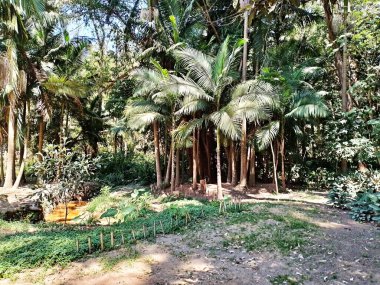 Carmo Park Olavo the Setbal, şehrin yoğun nüfuslu doğu bölgesinde kalan az sayıdaki yeşil alandan biridir. Bölgede çeşitli bir bitki örtüsünün yanı sıra Atlantik Ormanı 'ndan gelen zengin bir hayvan barınağı ve yiyecek barındırıyor. 