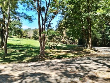 Carmo Park Olavo the Setbal, şehrin yoğun nüfuslu doğu bölgesinde kalan az sayıdaki yeşil alandan biridir. Bölgede çeşitli bir bitki örtüsünün yanı sıra Atlantik Ormanı 'ndan gelen zengin bir hayvan barınağı ve yiyecek barındırıyor. 