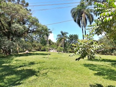 Carmo Park Olavo the Setbal, şehrin yoğun nüfuslu doğu bölgesinde kalan az sayıdaki yeşil alandan biridir. Bölgede çeşitli bir bitki örtüsünün yanı sıra Atlantik Ormanı 'ndan gelen zengin bir hayvan barınağı ve yiyecek barındırıyor. 