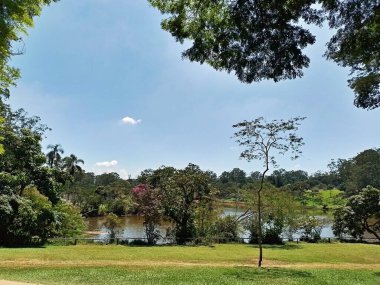 Carmo Park Olavo the Setbal, şehrin yoğun nüfuslu doğu bölgesinde kalan az sayıdaki yeşil alandan biridir. Bölgede çeşitli bir bitki örtüsünün yanı sıra Atlantik Ormanı 'ndan gelen zengin bir hayvan barınağı ve yiyecek barındırıyor. 