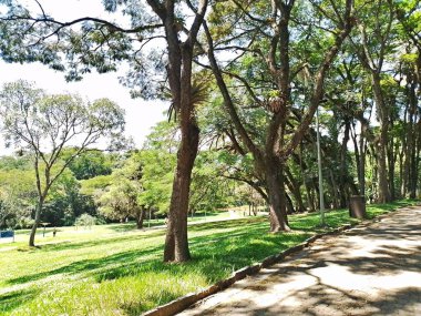 Carmo Park Olavo the Setbal, şehrin yoğun nüfuslu doğu bölgesinde kalan az sayıdaki yeşil alandan biridir. Bölgede çeşitli bir bitki örtüsünün yanı sıra Atlantik Ormanı 'ndan gelen zengin bir hayvan barınağı ve yiyecek barındırıyor. 