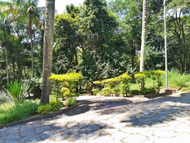 Carmo Park Olavo the Setbal, şehrin yoğun nüfuslu doğu bölgesinde kalan az sayıdaki yeşil alandan biridir. Bölgede çeşitli bir bitki örtüsünün yanı sıra Atlantik Ormanı 'ndan gelen zengin bir hayvan barınağı ve yiyecek barındırıyor. 