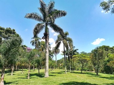 Carmo Park Olavo the Setbal, şehrin yoğun nüfuslu doğu bölgesinde kalan az sayıdaki yeşil alandan biridir. Bölgede çeşitli bir bitki örtüsünün yanı sıra Atlantik Ormanı 'ndan gelen zengin bir hayvan barınağı ve yiyecek barındırıyor. 