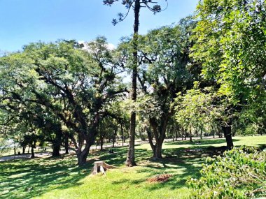 Carmo Park Olavo the Setbal, şehrin yoğun nüfuslu doğu bölgesinde kalan az sayıdaki yeşil alandan biridir. Bölgede çeşitli bir bitki örtüsünün yanı sıra Atlantik Ormanı 'ndan gelen zengin bir hayvan barınağı ve yiyecek barındırıyor. 