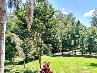 Carmo Park Olavo the Setbal, şehrin yoğun nüfuslu doğu bölgesinde kalan az sayıdaki yeşil alandan biridir. Bölgede çeşitli bir bitki örtüsünün yanı sıra Atlantik Ormanı 'ndan gelen zengin bir hayvan barınağı ve yiyecek barındırıyor. 