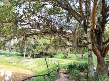 Carmo Park Olavo the Setbal, şehrin yoğun nüfuslu doğu bölgesinde kalan az sayıdaki yeşil alandan biridir. Bölgede çeşitli bir bitki örtüsünün yanı sıra Atlantik Ormanı 'ndan gelen zengin bir hayvan barınağı ve yiyecek barındırıyor. 