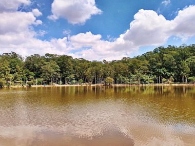 Carmo Park Olavo the Setbal, şehrin yoğun nüfuslu doğu bölgesinde kalan az sayıdaki yeşil alandan biridir. Bölgede çeşitli bir bitki örtüsünün yanı sıra Atlantik Ormanı 'ndan gelen zengin bir hayvan barınağı ve yiyecek barındırıyor. 