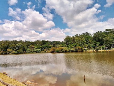 Carmo Park Olavo the Setbal, şehrin yoğun nüfuslu doğu bölgesinde kalan az sayıdaki yeşil alandan biridir. Bölgede çeşitli bir bitki örtüsünün yanı sıra Atlantik Ormanı 'ndan gelen zengin bir hayvan barınağı ve yiyecek barındırıyor. 