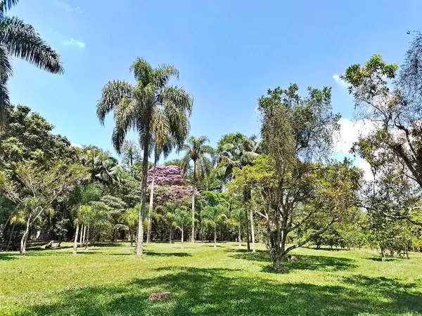 Carmo Park Olavo the Setbal, şehrin yoğun nüfuslu doğu bölgesinde kalan az sayıdaki yeşil alandan biridir. Bölgede çeşitli bir bitki örtüsünün yanı sıra Atlantik Ormanı 'ndan gelen zengin bir hayvan barınağı ve yiyecek barındırıyor. 