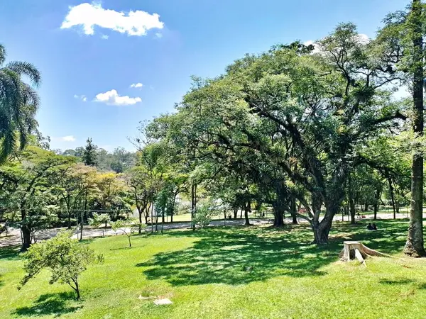 Carmo Park Olavo the Setbal, şehrin yoğun nüfuslu doğu bölgesinde kalan az sayıdaki yeşil alandan biridir. Bölgede çeşitli bir bitki örtüsünün yanı sıra Atlantik Ormanı 'ndan gelen zengin bir hayvan barınağı ve yiyecek barındırıyor. 