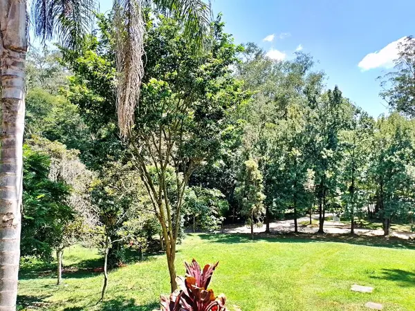 Carmo Park Olavo the Setbal, şehrin yoğun nüfuslu doğu bölgesinde kalan az sayıdaki yeşil alandan biridir. Bölgede çeşitli bir bitki örtüsünün yanı sıra Atlantik Ormanı 'ndan gelen zengin bir hayvan barınağı ve yiyecek barındırıyor. 