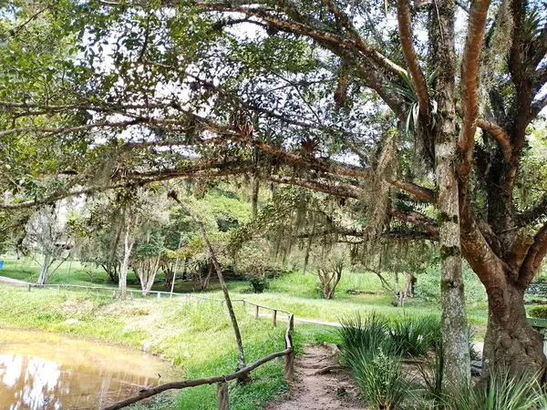 Carmo Park Olavo the Setbal, şehrin yoğun nüfuslu doğu bölgesinde kalan az sayıdaki yeşil alandan biridir. Bölgede çeşitli bir bitki örtüsünün yanı sıra Atlantik Ormanı 'ndan gelen zengin bir hayvan barınağı ve yiyecek barındırıyor. 