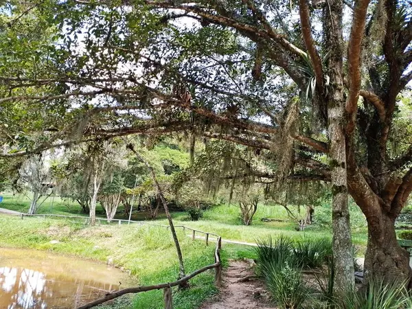 Carmo Park Olavo the Setbal, şehrin yoğun nüfuslu doğu bölgesinde kalan az sayıdaki yeşil alandan biridir. Bölgede çeşitli bir bitki örtüsünün yanı sıra Atlantik Ormanı 'ndan gelen zengin bir hayvan barınağı ve yiyecek barındırıyor. 