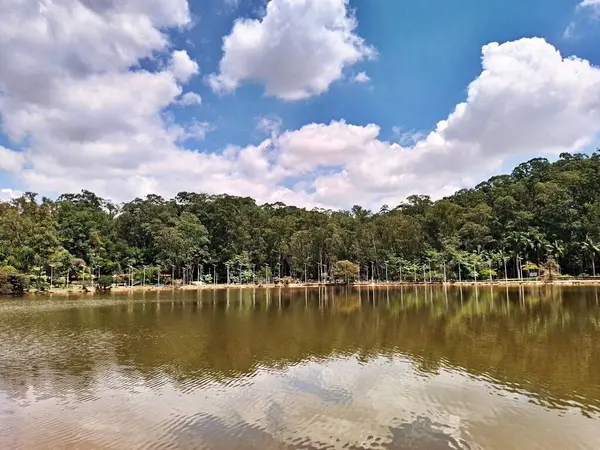 Carmo Park Olavo the Setbal, şehrin yoğun nüfuslu doğu bölgesinde kalan az sayıdaki yeşil alandan biridir. Bölgede çeşitli bir bitki örtüsünün yanı sıra Atlantik Ormanı 'ndan gelen zengin bir hayvan barınağı ve yiyecek barındırıyor. 