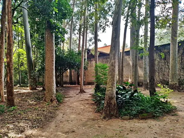 Parque do Piqueri, Brezilya 'nın So Paulo eyaletinin Tatuap semtinde yer alan bir parktır. 97.272 metrekarelik bir alana ve büyük ağaçlara kadar uzanan küçük çalılıklara sahiptir..