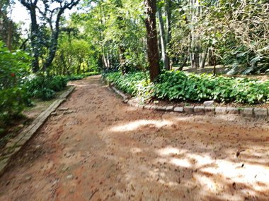 Parque do Piqueri, Brezilya 'nın So Paulo eyaletinin Tatuap semtinde yer alan bir parktır. 97.272 metrekarelik bir alana ve büyük ağaçlara kadar uzanan küçük çalılıklara sahiptir..