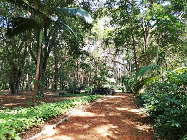 Parque do Piqueri, Brezilya 'nın So Paulo eyaletinin Tatuap semtinde yer alan bir parktır. 97.272 metrekarelik bir alana ve büyük ağaçlara kadar uzanan küçük çalılıklara sahiptir..