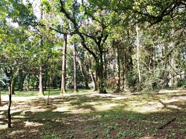 Parque do Piqueri, Brezilya 'nın So Paulo eyaletinin Tatuap semtinde yer alan bir parktır. 97.272 metrekarelik bir alana ve büyük ağaçlara kadar uzanan küçük çalılıklara sahiptir..