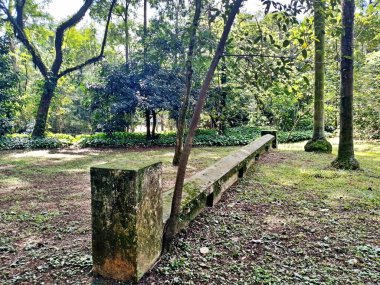 Parque do Piqueri, Brezilya 'nın So Paulo eyaletinin Tatuap semtinde yer alan bir parktır. 97.272 metrekarelik bir alana ve büyük ağaçlara kadar uzanan küçük çalılıklara sahiptir..