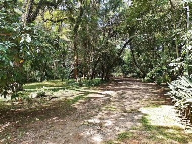 Parque do Piqueri, Brezilya 'nın So Paulo eyaletinin Tatuap semtinde yer alan bir parktır. 97.272 metrekarelik bir alana ve büyük ağaçlara kadar uzanan küçük çalılıklara sahiptir..