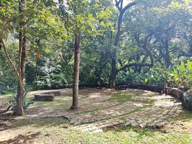 Parque do Piqueri, Brezilya 'nın So Paulo eyaletinin Tatuap semtinde yer alan bir parktır. 97.272 metrekarelik bir alana ve büyük ağaçlara kadar uzanan küçük çalılıklara sahiptir..