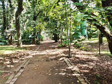 Parque do Piqueri, Brezilya 'nın So Paulo eyaletinin Tatuap semtinde yer alan bir parktır. 97.272 metrekarelik bir alana ve büyük ağaçlara kadar uzanan küçük çalılıklara sahiptir..