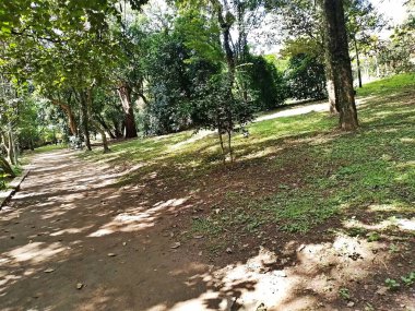 Parque do Piqueri, Brezilya 'nın So Paulo eyaletinin Tatuap semtinde yer alan bir parktır. 97.272 metrekarelik bir alana ve büyük ağaçlara kadar uzanan küçük çalılıklara sahiptir..