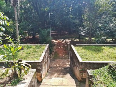 Parque do Piqueri, Brezilya 'nın So Paulo eyaletinin Tatuap semtinde yer alan bir parktır. 97.272 metrekarelik bir alana ve büyük ağaçlara kadar uzanan küçük çalılıklara sahiptir..