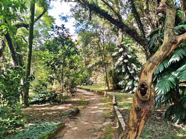 Parque do Piqueri, Brezilya 'nın So Paulo eyaletinin Tatuap semtinde yer alan bir parktır. 97.272 metrekarelik bir alana ve büyük ağaçlara kadar uzanan küçük çalılıklara sahiptir..