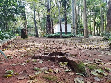 Parque do Piqueri, Brezilya 'nın So Paulo eyaletinin Tatuap semtinde yer alan bir parktır. 97.272 metrekarelik bir alana ve büyük ağaçlara kadar uzanan küçük çalılıklara sahiptir..