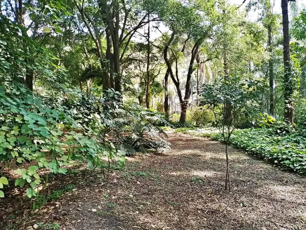 Parque do Piqueri, Brezilya 'nın So Paulo eyaletinin Tatuap semtinde yer alan bir parktır. 97.272 metrekarelik bir alana ve büyük ağaçlara kadar uzanan küçük çalılıklara sahiptir..