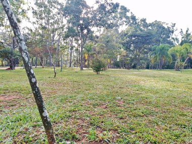 Prudente Village ekoloji parkı, ve 2004 yılında yakın bir okulda çalışan Colgio Estadual Prof. Americo de Moura (CEPAM) onuruna Parque Ecolgico Prof Lydia Natalizio Diogo olarak değiştirildi.).