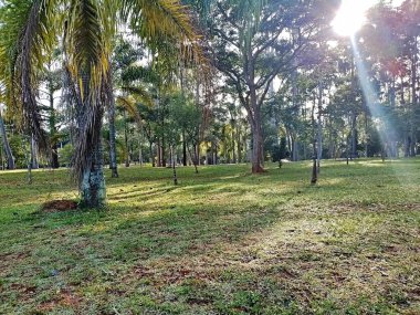 Prudente Village ekoloji parkı, ve 2004 yılında yakın bir okulda çalışan Colgio Estadual Prof. Americo de Moura (CEPAM) onuruna Parque Ecolgico Prof Lydia Natalizio Diogo olarak değiştirildi.).