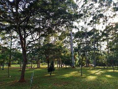 Prudente Village ekoloji parkı, ve 2004 yılında yakın bir okulda çalışan Colgio Estadual Prof. Americo de Moura (CEPAM) onuruna Parque Ecolgico Prof Lydia Natalizio Diogo olarak değiştirildi.).