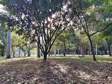 Prudente Village ekoloji parkı, ve 2004 yılında yakın bir okulda çalışan Colgio Estadual Prof. Americo de Moura (CEPAM) onuruna Parque Ecolgico Prof Lydia Natalizio Diogo olarak değiştirildi.).