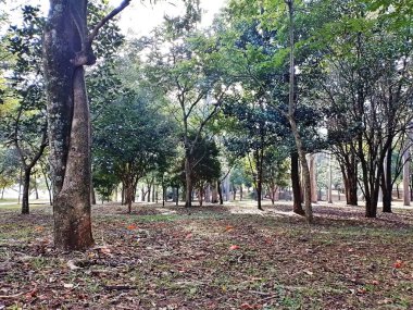 Prudente Village ekoloji parkı, ve 2004 yılında yakın bir okulda çalışan Colgio Estadual Prof. Americo de Moura (CEPAM) onuruna Parque Ecolgico Prof Lydia Natalizio Diogo olarak değiştirildi.).