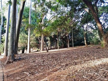 Prudente Village ekoloji parkı, ve 2004 yılında yakın bir okulda çalışan Colgio Estadual Prof. Americo de Moura (CEPAM) onuruna Parque Ecolgico Prof Lydia Natalizio Diogo olarak değiştirildi.).