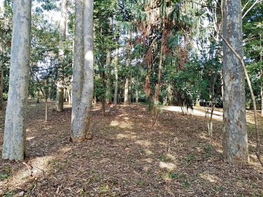 Prudente Village ekoloji parkı, ve 2004 yılında yakın bir okulda çalışan Colgio Estadual Prof. Americo de Moura (CEPAM) onuruna Parque Ecolgico Prof Lydia Natalizio Diogo olarak değiştirildi.).