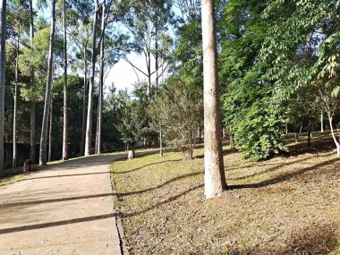 Prudente Village ekoloji parkı, ve 2004 yılında yakın bir okulda çalışan Colgio Estadual Prof. Americo de Moura (CEPAM) onuruna Parque Ecolgico Prof Lydia Natalizio Diogo olarak değiştirildi.).