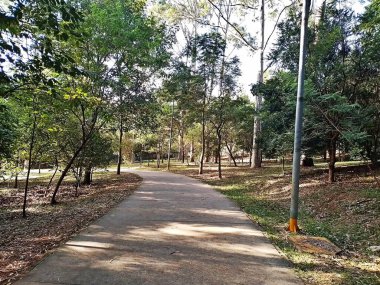 Prudente Village ekoloji parkı, ve 2004 yılında yakın bir okulda çalışan Colgio Estadual Prof. Americo de Moura (CEPAM) onuruna Parque Ecolgico Prof Lydia Natalizio Diogo olarak değiştirildi.).