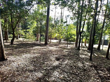 Prudente Village ekoloji parkı, ve 2004 yılında yakın bir okulda çalışan Colgio Estadual Prof. Americo de Moura (CEPAM) onuruna Parque Ecolgico Prof Lydia Natalizio Diogo olarak değiştirildi.).