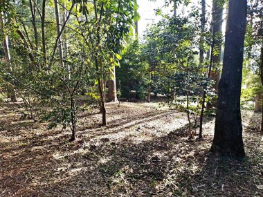 Prudente Village ekoloji parkı, ve 2004 yılında yakın bir okulda çalışan Colgio Estadual Prof. Americo de Moura (CEPAM) onuruna Parque Ecolgico Prof Lydia Natalizio Diogo olarak değiştirildi.).