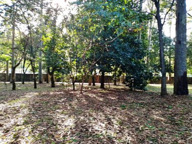 Prudente Village ekoloji parkı, ve 2004 yılında yakın bir okulda çalışan Colgio Estadual Prof. Americo de Moura (CEPAM) onuruna Parque Ecolgico Prof Lydia Natalizio Diogo olarak değiştirildi.).