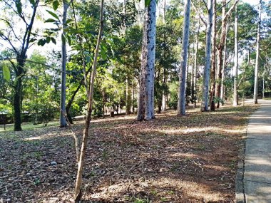 Prudente Village ekoloji parkı, ve 2004 yılında yakın bir okulda çalışan Colgio Estadual Prof. Americo de Moura (CEPAM) onuruna Parque Ecolgico Prof Lydia Natalizio Diogo olarak değiştirildi.).