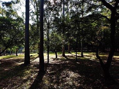 Prudente Village ekoloji parkı, ve 2004 yılında yakın bir okulda çalışan Colgio Estadual Prof. Americo de Moura (CEPAM) onuruna Parque Ecolgico Prof Lydia Natalizio Diogo olarak değiştirildi.).