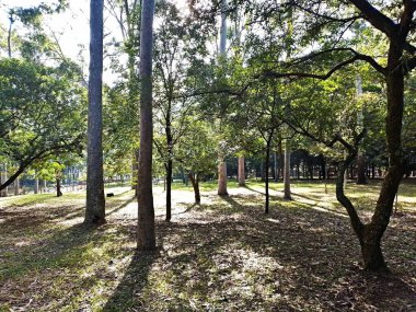 Prudente Village ekoloji parkı, ve 2004 yılında yakın bir okulda çalışan Colgio Estadual Prof. Americo de Moura (CEPAM) onuruna Parque Ecolgico Prof Lydia Natalizio Diogo olarak değiştirildi.).