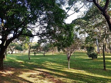 Prudente Village ekoloji parkı, ve 2004 yılında yakın bir okulda çalışan Colgio Estadual Prof. Americo de Moura (CEPAM) onuruna Parque Ecolgico Prof Lydia Natalizio Diogo olarak değiştirildi.).