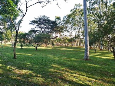 Prudente Village ekoloji parkı, ve 2004 yılında yakın bir okulda çalışan Colgio Estadual Prof. Americo de Moura (CEPAM) onuruna Parque Ecolgico Prof Lydia Natalizio Diogo olarak değiştirildi.).